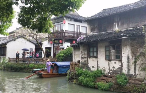 吃瓜娱乐间江南,吃瓜娱乐间里的时尚潮流风向标