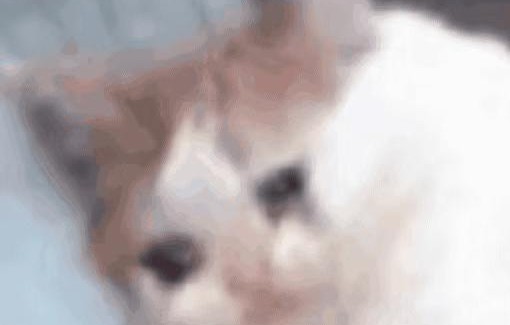 吃瓜表情包动图,趣味横生的网络文化现象