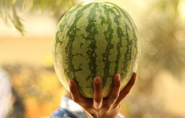 吃娱乐圈大瓜,揭秘明星背后的惊人真相